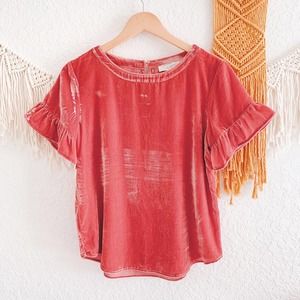 Loft Velvet Bell Ruffle Sleeve Top